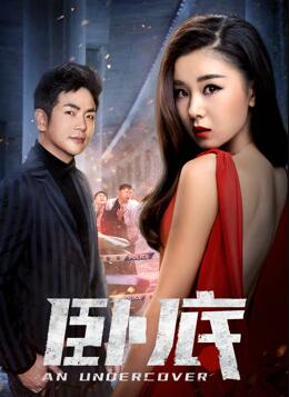 【直链】电视剧《《卧底》（2020）》 - 1080P/720P高清HD下载