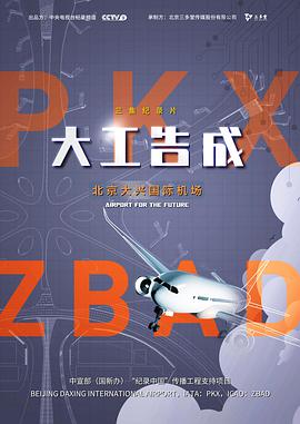 【直链】电影《大工告成——北京大兴国际机场（2020）》 - 1080P/720P高清HD下载