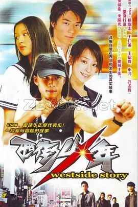 【直链】电视剧《西街少年（2003）》 - 1080P/720P高清HD下载