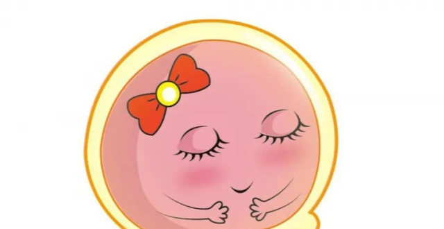 做试管婴儿促排的卵子是越多越好吗?