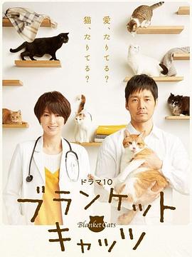 【直链】电视剧《毛毯猫（2017）》 - 1080P/720P高清HD下载