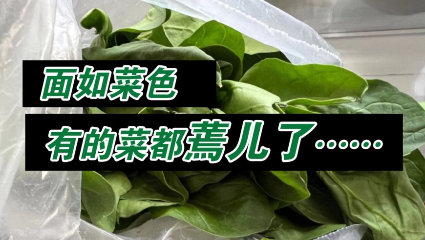 "面如菜色"!北京囤货太多市民直呼后悔:有的菜都蔫儿了