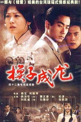 【直链】电视剧《换子成龙（2006）》 - 1080P/720P高清HD下载