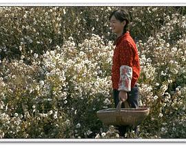 【直链】电影《山菊（）》 - 1080P/720P高清HD下载