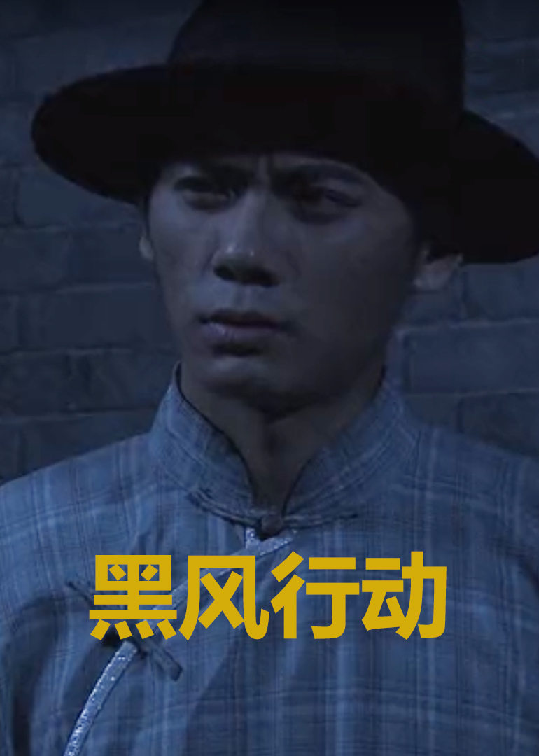 【直链】电影《黑风计划（2011）》 - 1080P/720P高清HD下载