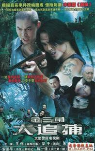 大追捕2009