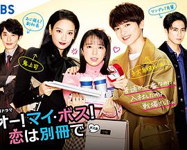 【直链】电视剧《哦！我的老板！恋爱随书附赠（2021）》 - 1080P/720P高清HD下载