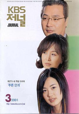 【直链】电视剧《蓝雾（2001）》 - 1080P/720P高清HD下载