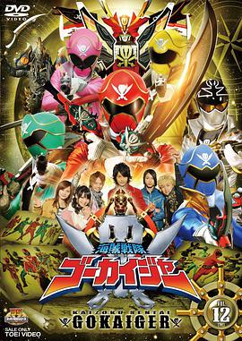 【直链】电视剧《海贼战队豪快者（2011）》 - 1080P/720P高清HD下载