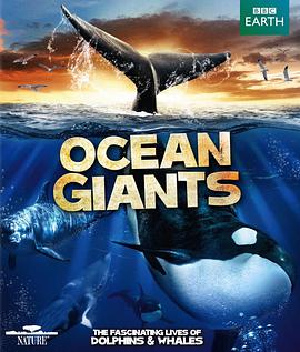 【直链】电影《海洋巨兽（2011）》 - 1080P/720P高清HD下载