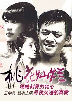 【直链】电视剧《桃花灿烂（2007）》 - 1080P/720P高清HD下载