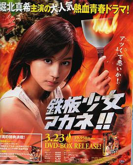 【直链】电视剧《铁板少女小茜（2006）》 - 1080P/720P高清HD下载
