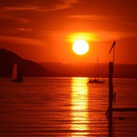 十大电影怪兽排行榜