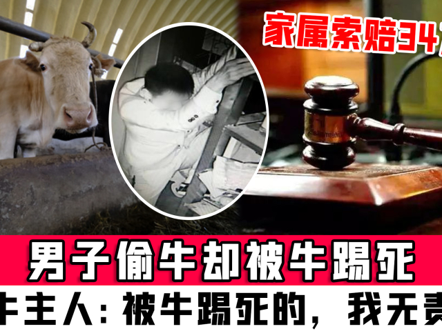 夫妻救助2只狗被判犯盜竊罪_盜伐林木罪緩刑期間又犯盜伐林木罪如何處理_法定犯與自然犯出罪