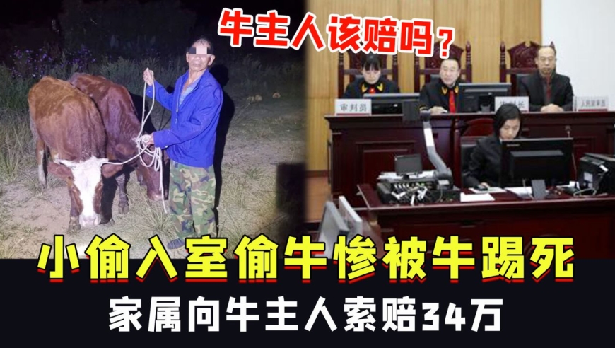 法定犯與自然犯出罪_盜伐林木罪緩刑期間又犯盜伐林木罪如何處理_夫妻救助2只狗被判犯盜竊罪