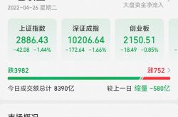 A股高开低走沪指失守2900点 近4000只个股下跌