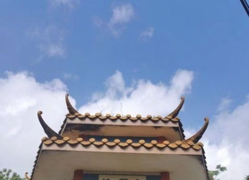 唯一参加过长征的海南女性,中国最后一位参加长征的女红军谢飞故居