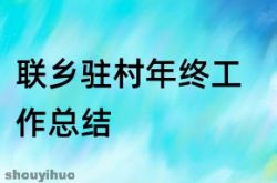村でのLianxiangの年末の仕事の要約