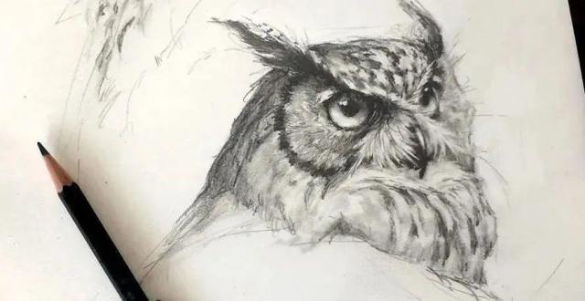 初学者如何画好眼睛