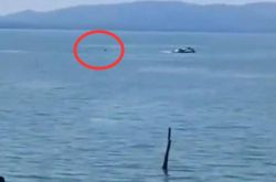 悲しい！安徽省の2人の男性がモーターボートで水に落ちて溺死した救助隊：ソナーを通してのみ体を見つけた