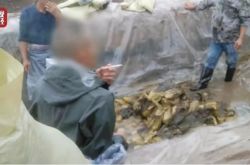 ザワークラウトを踏むのは嫌ですか？道端でよく見られる8種類の「食べ物」、問題はもっと大きいかもしれません