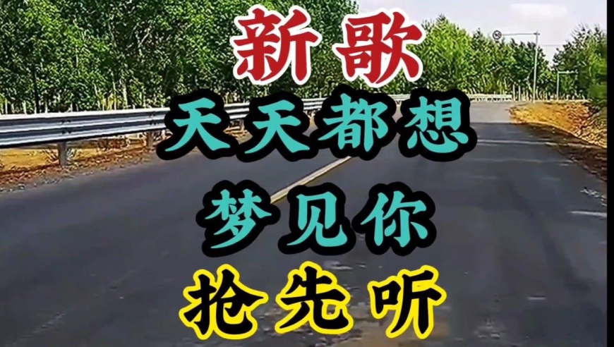 胡蜜丹 一首新歌上线抢先听天天都想梦见你 (dj何鹏版)