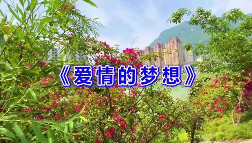 一首红尘情歌《爱情的梦想》痴情感人,甜蜜暖心,真好听!