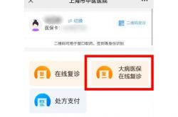 上海漢方病院インターネット病院が漢方重病医療保険に加入し、97名が「重病オンラインフォローアップ」を実施