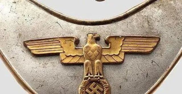 【狼钩与闪电】二战德国冲锋队(sa)"统帅堂"旗队小史