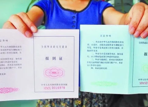 最新通知,2023年起取消毕业生就业报到证