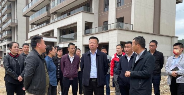 冯异星到龙溪先导区调研