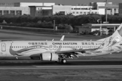 中国民用航空局は、「3.21」中国東方航空MU5735飛行事故の原因に関する米国メディアの報道に応えました