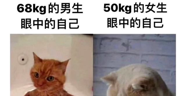 人间真实搞笑系列图片大赏