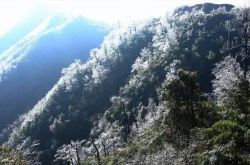 広西チワン族自治区の製薬農家は山で道に迷い、暖かく保つために火を灯し、奇妙な閃光を見つけました。彼は草を開けてその場に立っていました。