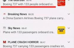이 서양 언론에 "중국동방항공 737"이 무엇인지 여쭤봐도 될까요?