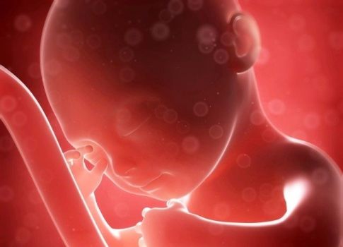 胎教助力胎儿大脑发育,超八成父母将胎教作为宝宝人生第一课