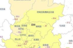 福祉速い33連続番号