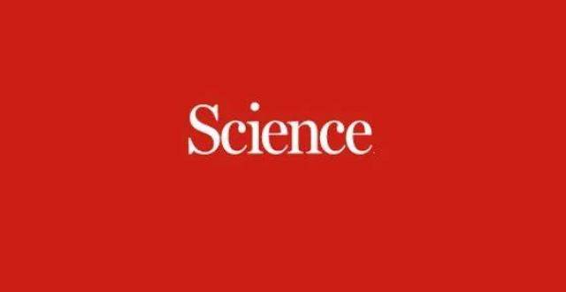 香港理工大学刘树平/中国人民大学季威 联手《Science》！_腾讯新闻