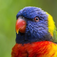 2018年9月最新抖音20首神曲最火流行歌曲推荐