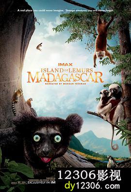 马达加斯加：狐猴之岛在线观看