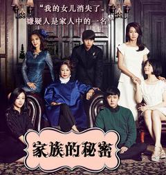 家族的秘密海报