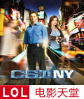 CSI纽约篇第七季