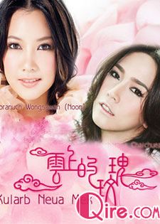 云上的玫瑰泰国[][]