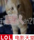 和喵星人的21天
