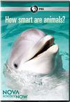 新星现代科学:动物有多聪明？