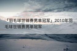 「バドミントン世界選手権男子シングルスチャンピオン」2010年バドミントン世界選手権男子シングルスチャンピオン
