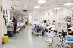 垂杨柳医院的抗疫之战 “黄码”医院保障45万居民就医需求