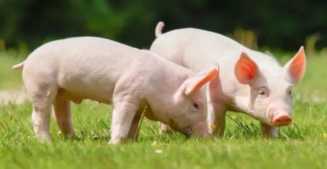 女子银行存钱柜员拒收1角硬币,中国银行:已道歉,钱已经存了国盛金控