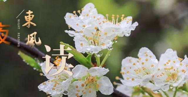 中国火箭军最新文章