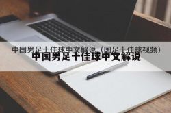 中国のトップ10のサッカー選手の中国の説明（中国のトップ10のサッカー選手のビデオ）
